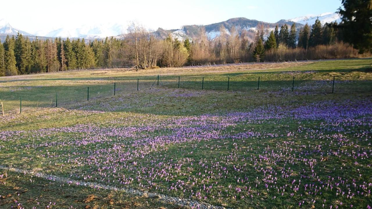 Domki Skupniowy Uplaz Murzasichle Eksteriør bilde